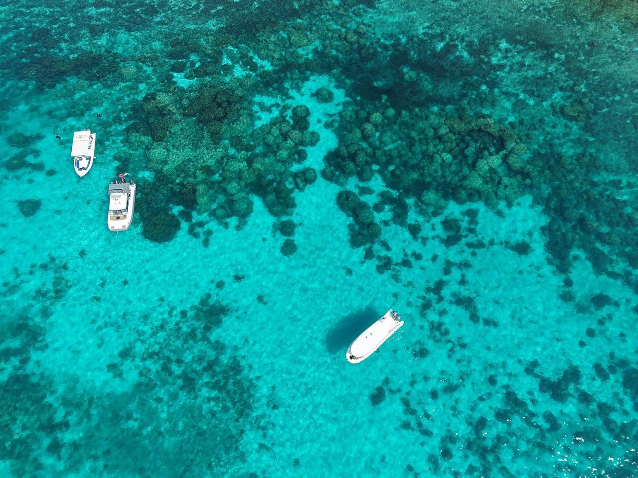 WhatsApp Image 2025 11 10 at 19.56.36 1