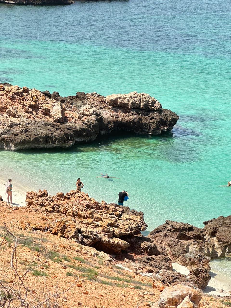 WhatsApp Image 2025 11 10 at 20.10.06 1