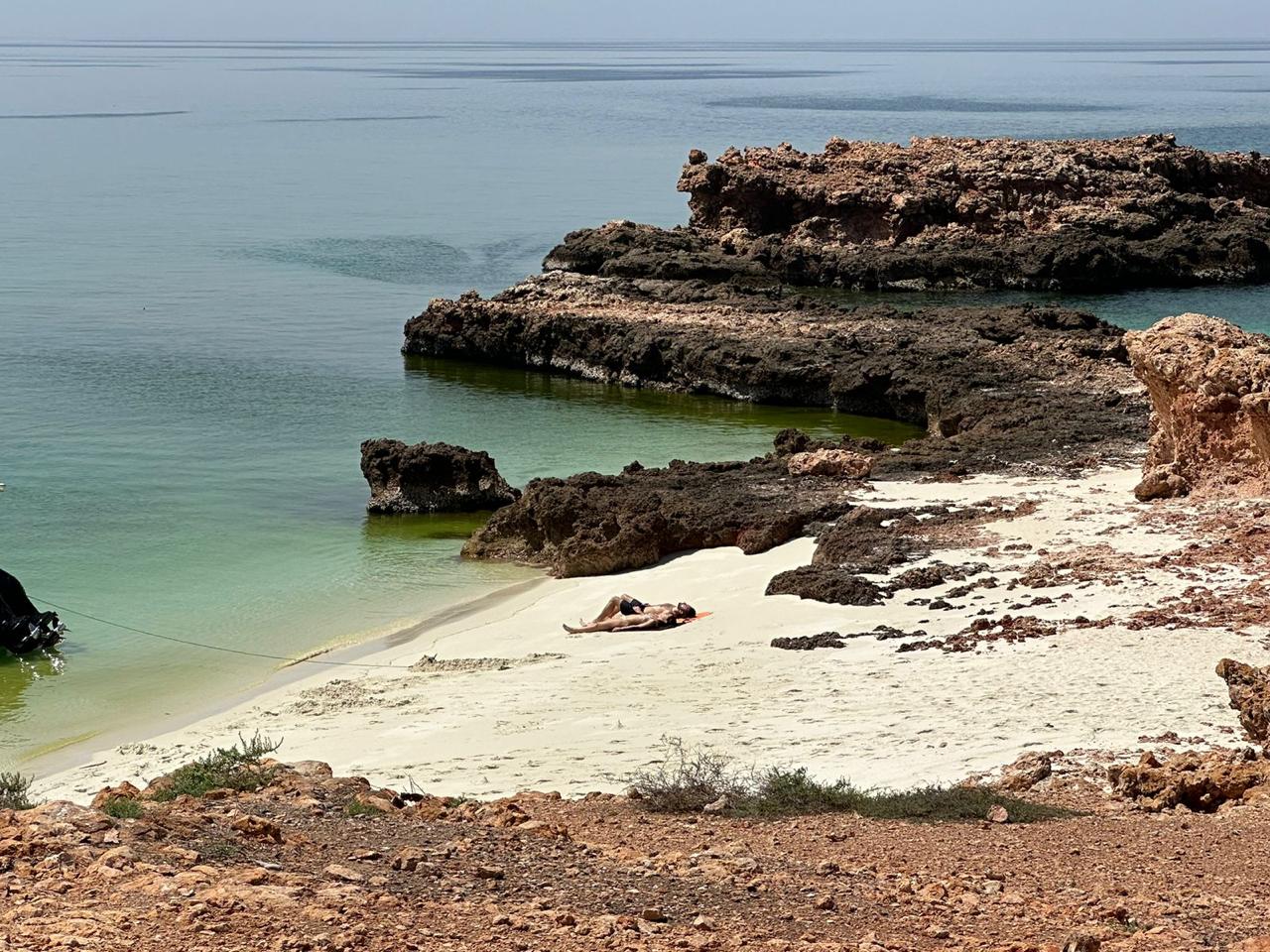 WhatsApp Image 2025 11 10 at 20.10.07 1