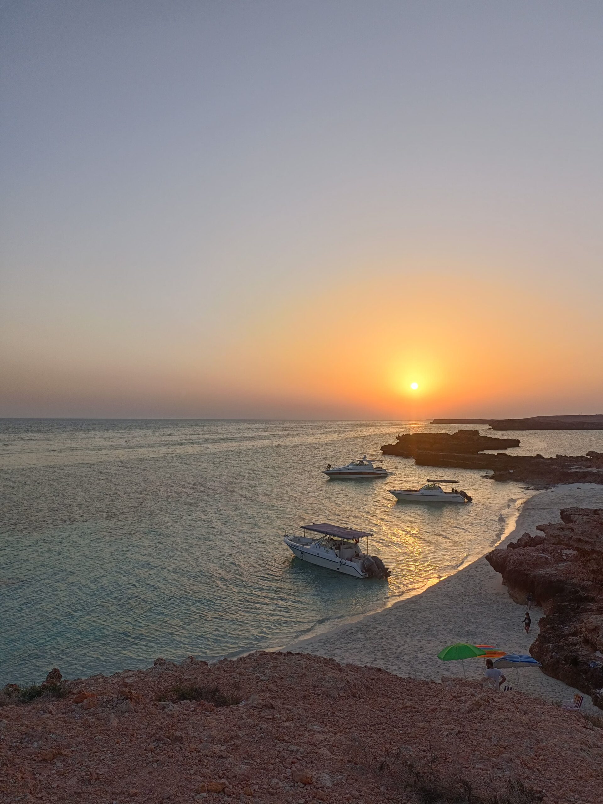 WhatsApp Image 2025 11 10 at 21.46.48 scaled