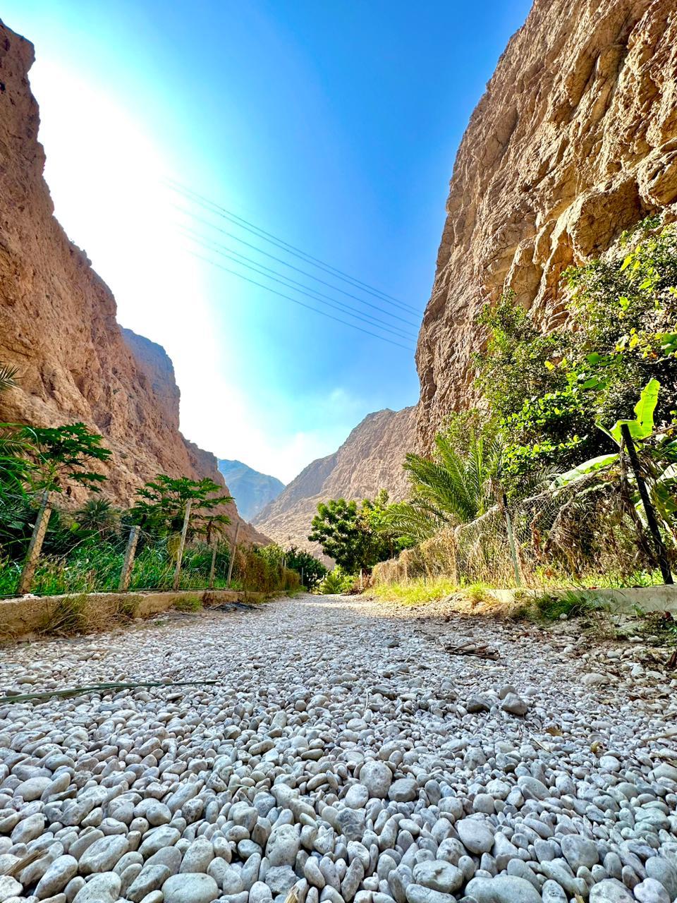 WhatsApp Image 2025 11 25 at 10.45.48 1